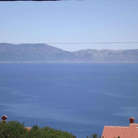 Apartments In Ravni/Istrien 30383 Dış mekan fotoğraf