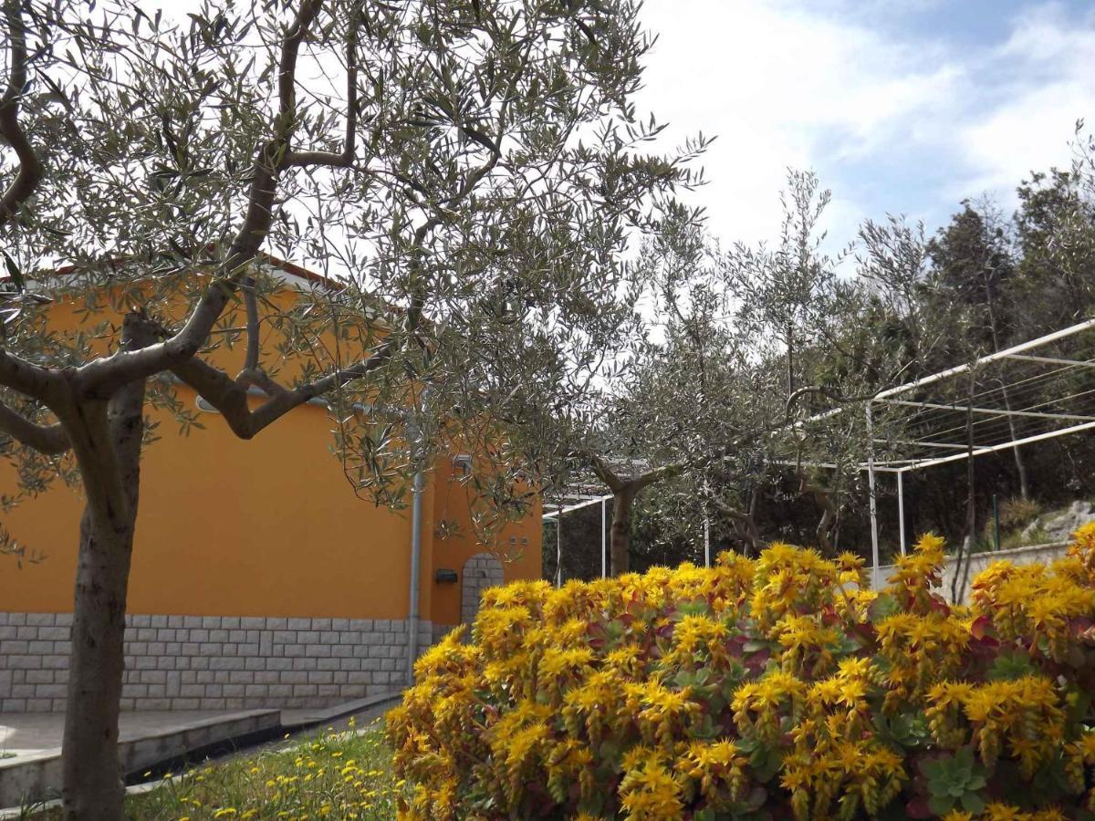 Apartments In Ravni/Istrien 30383 Dış mekan fotoğraf